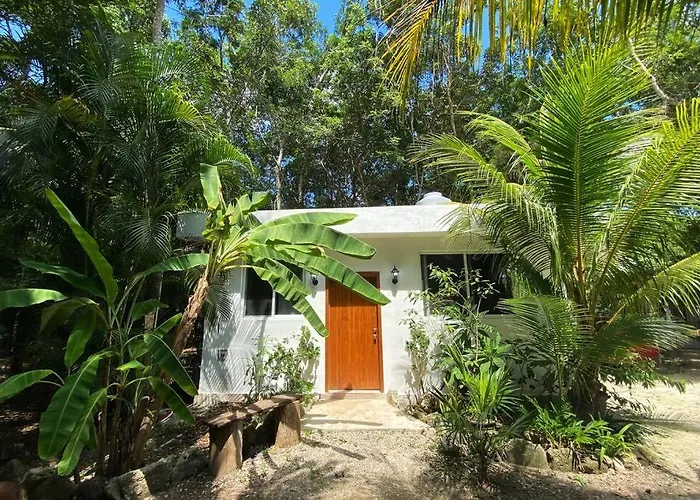 Cozumel Island - Cozy & Romantic Jungle Bungalow - Wifi/Netflix