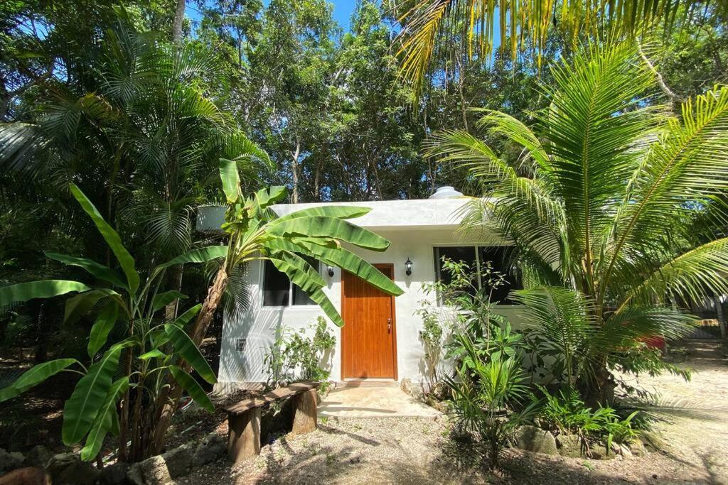 Island - Cozy & Romantic Jungle - Wifi/netflix Apartment *