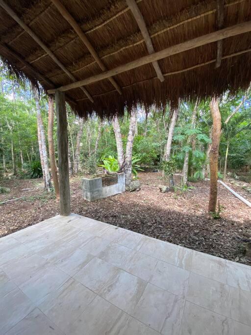 Island - Cozy & Romantic Jungle - Wifi/netflix Apartment
