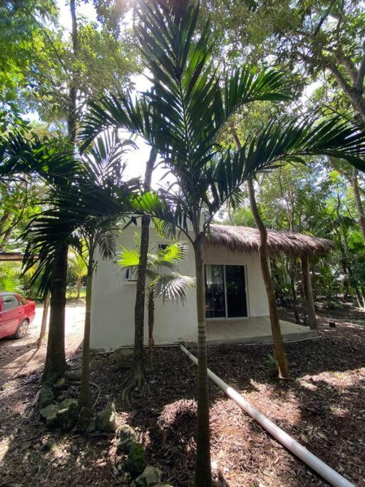 Island - Cozy & Romantic Jungle - Wifi/netflix